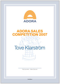 Exempel på företagsdiplom